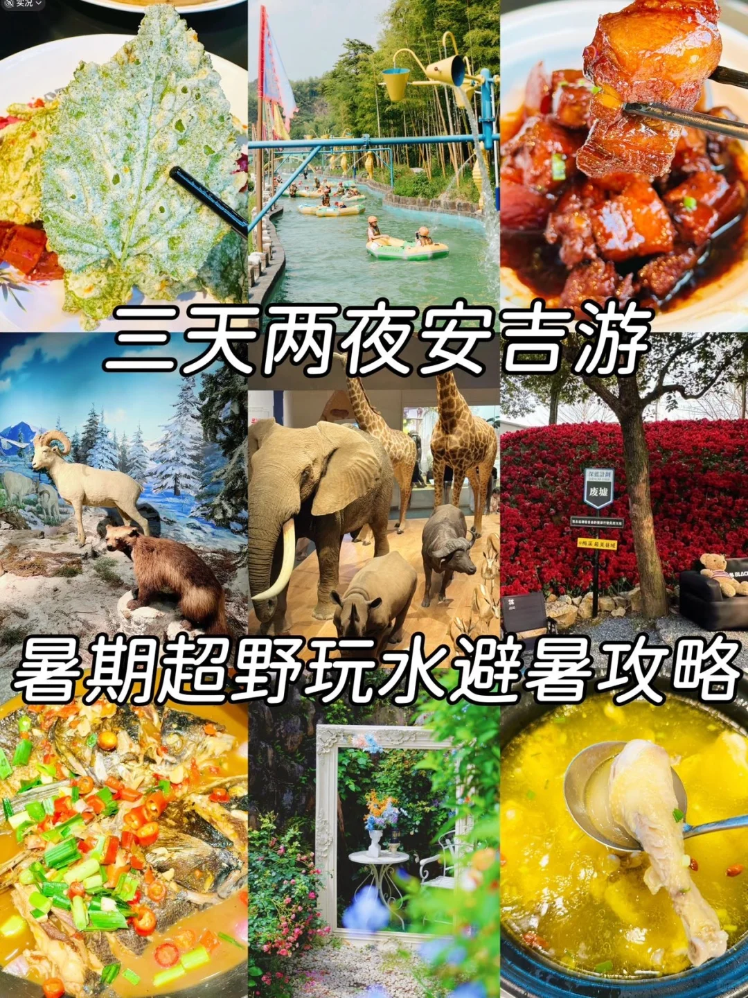 三天两夜安吉游🚗暑期超野玩水避暑攻略📖