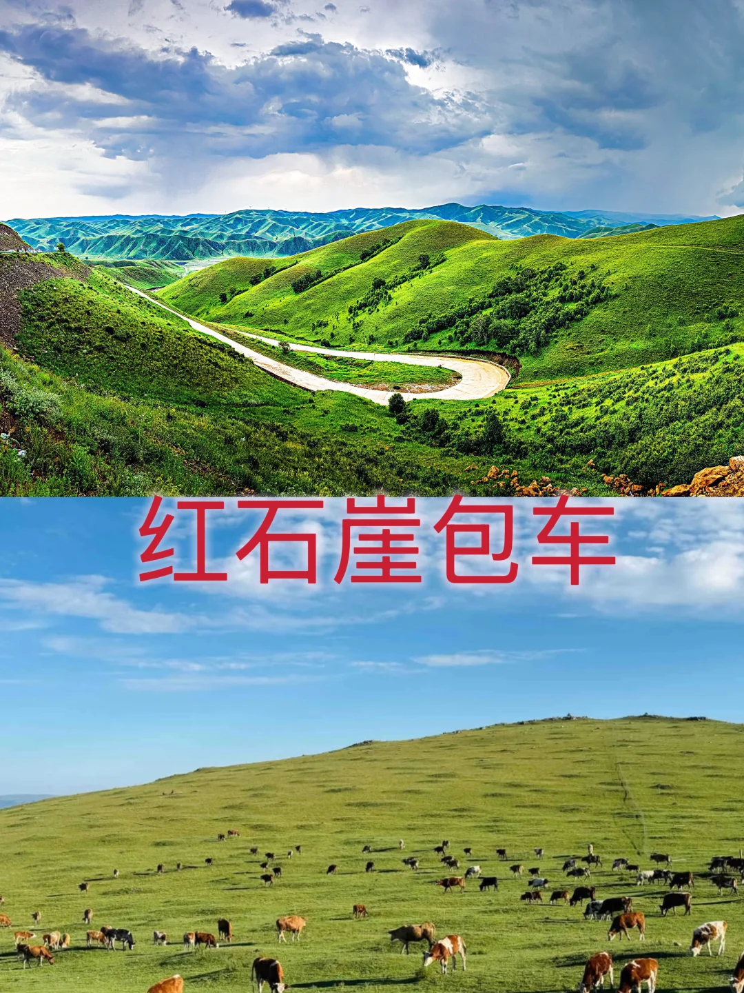 红石崖↔️市区 每日往返 随走随停🚗