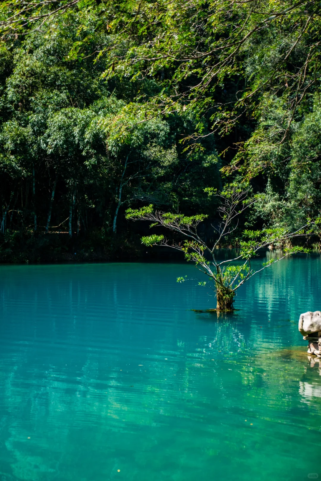 荔波小七孔｜人间的绿宝石（附拍摄机位路线）