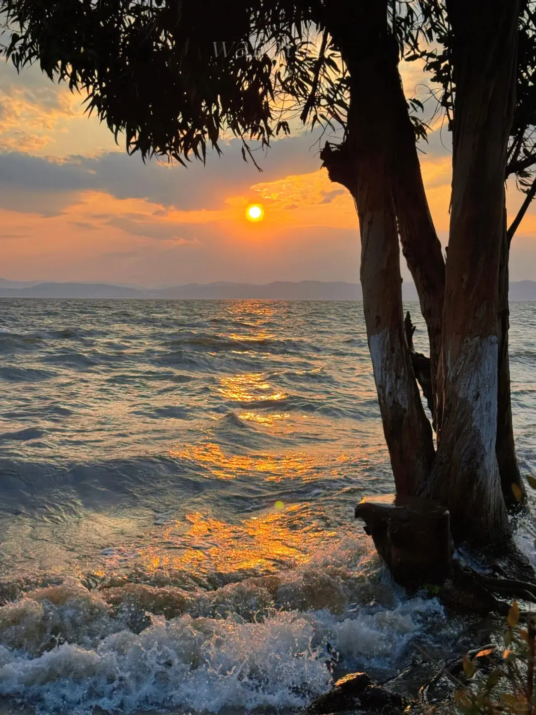 云南纯玩小团🌟吃住全含✅让旅行更省心❗