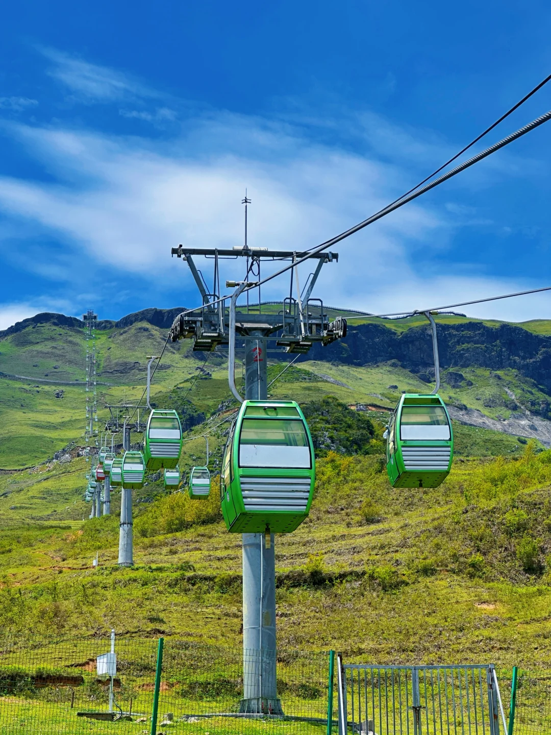 甘为牛马者｜藏着天地心【阿西里西】