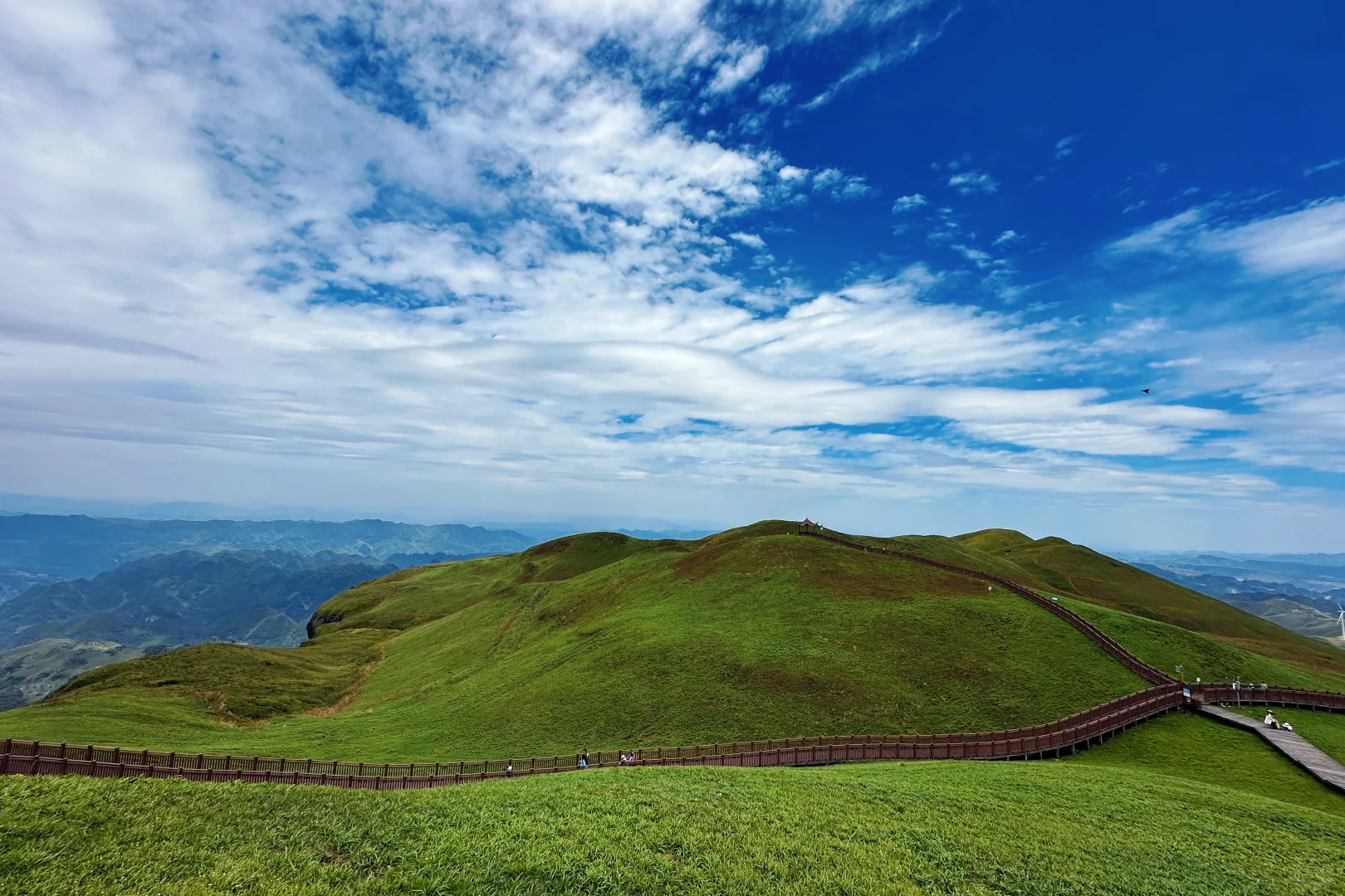 甘为牛马者｜藏着天地心【阿西里西】
