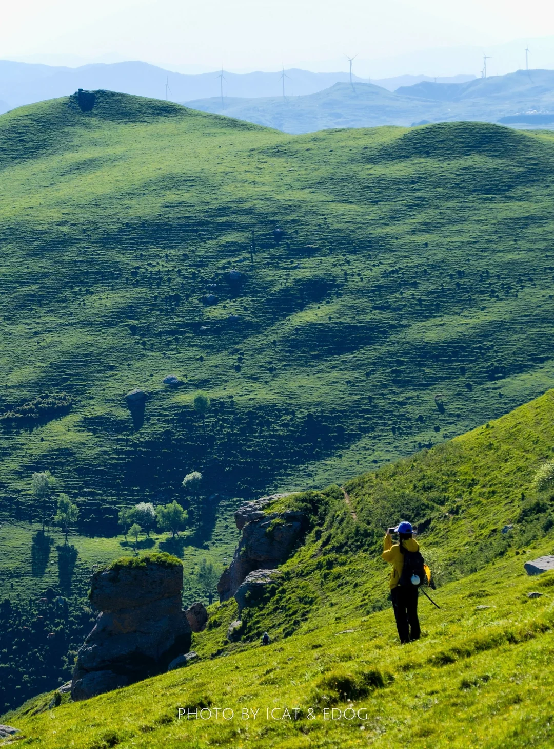 “读错过的举个手，这里是河北蔚（yù）县”
