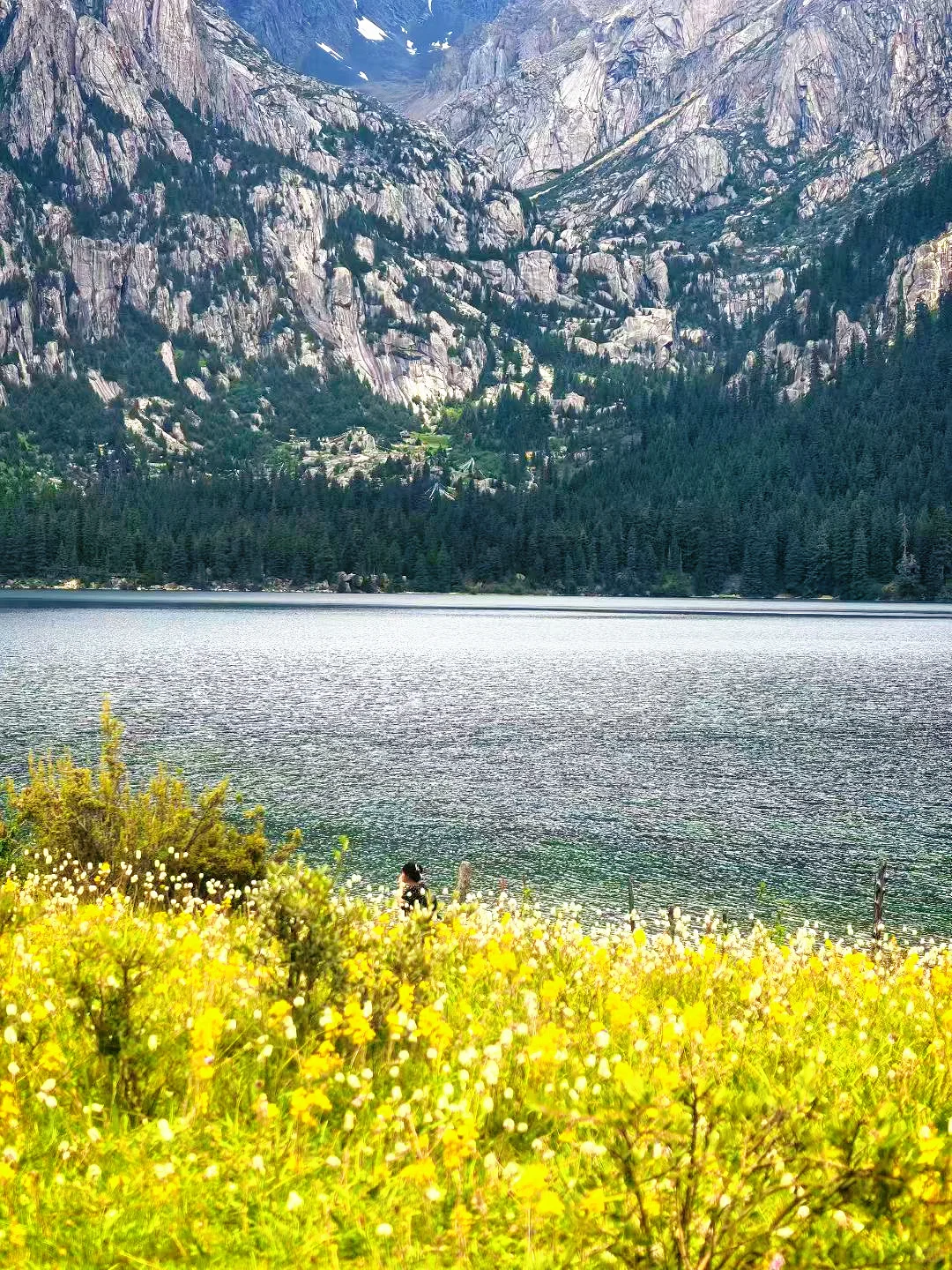 我宣布❗这是四川最美草原⛰️浪漫又治愈～