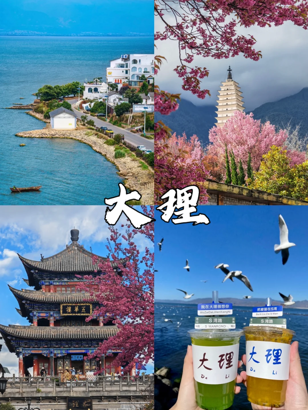 云南6天5晚人均1000+💰一价全含❗️❗️