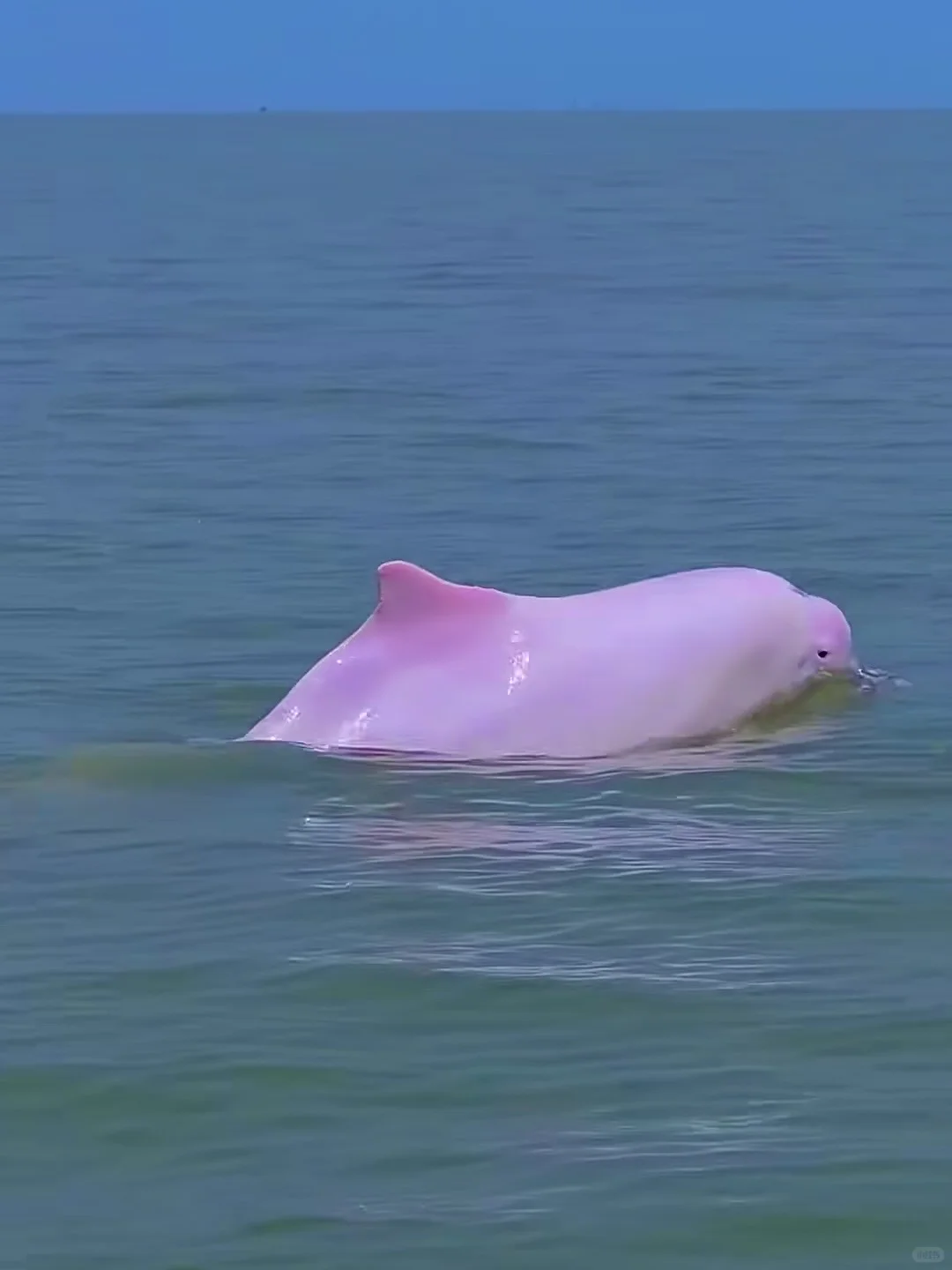 在三亚和崇左间选了崇左，娃玩的不想回家😭