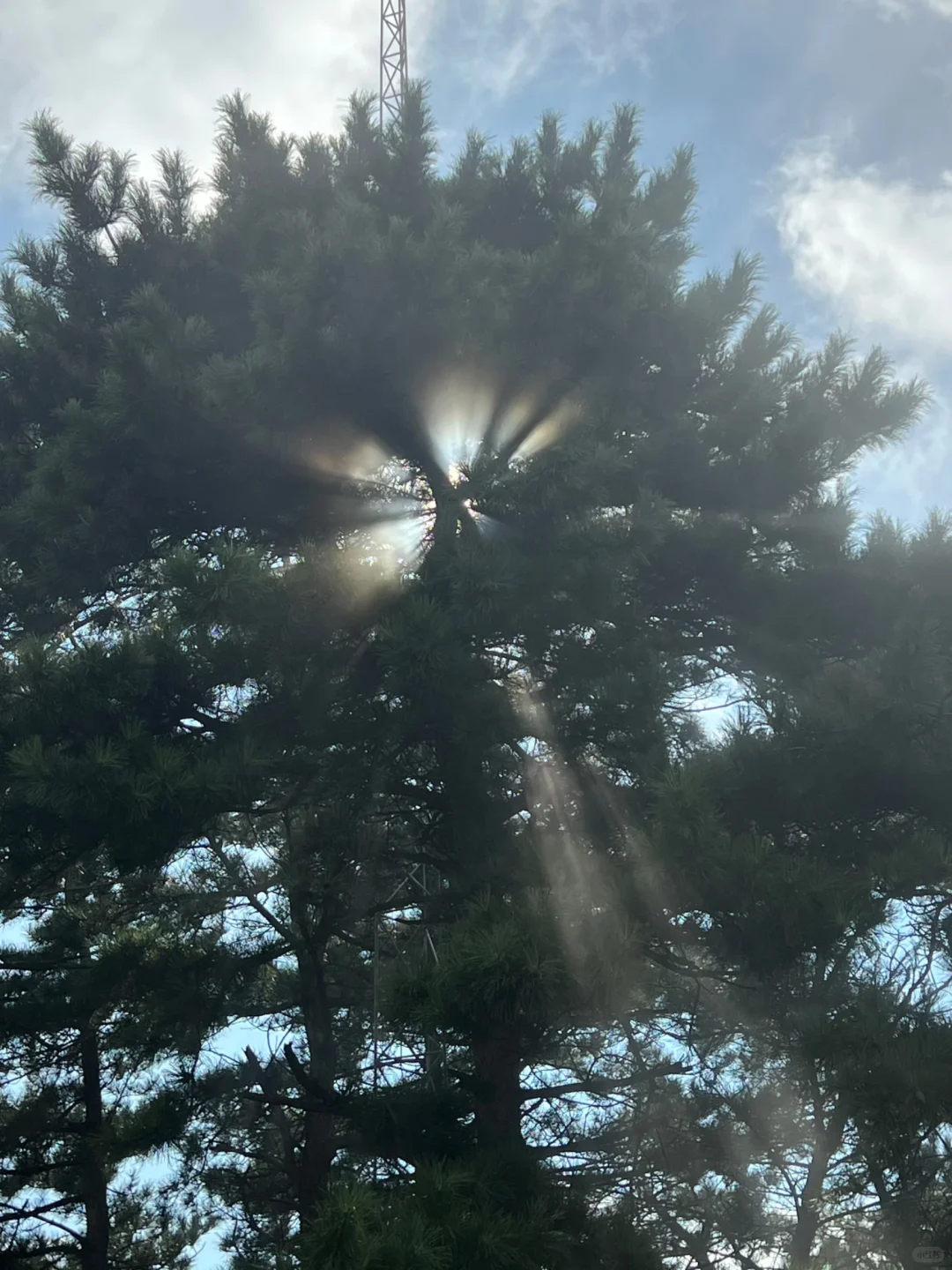 我说这是石家庄的懒人山