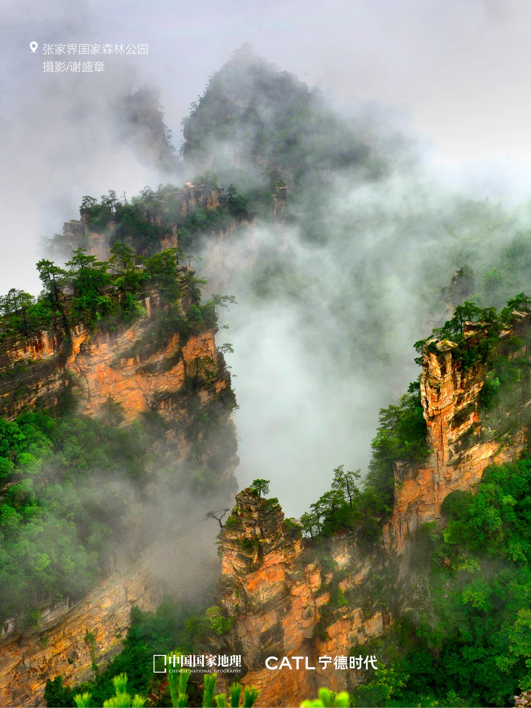 🌍“零碳出行”的N种打开方式✨