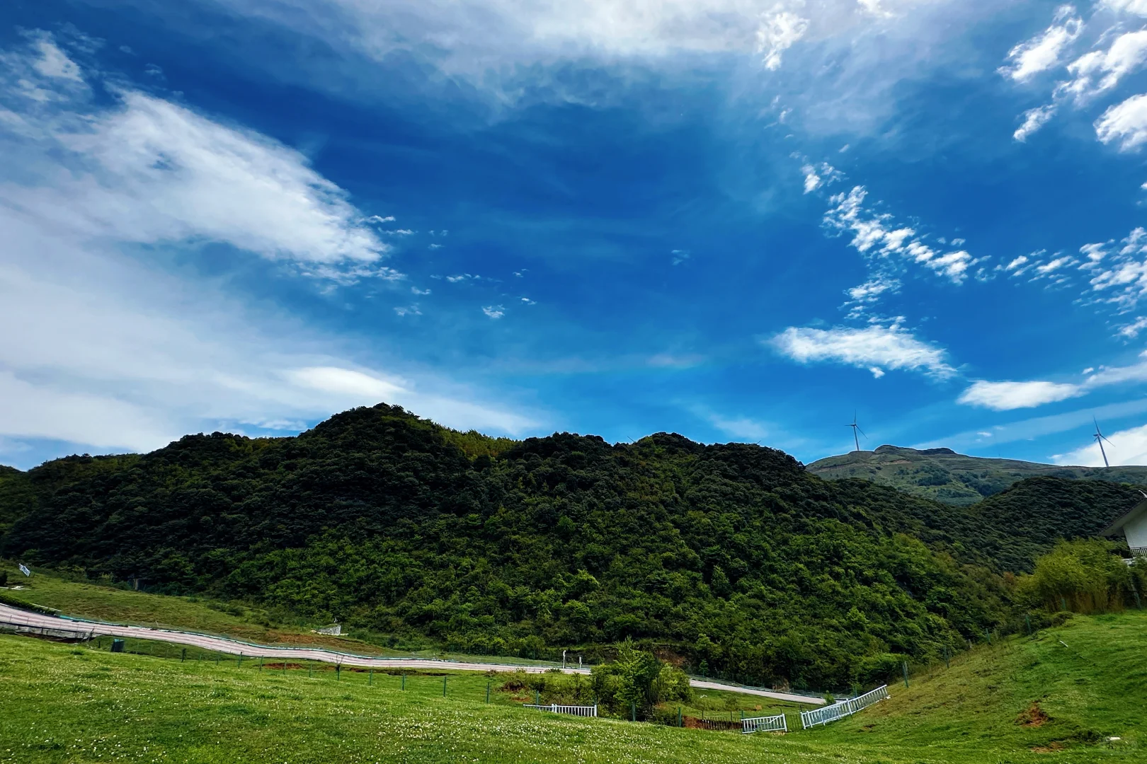 甘为牛马者｜藏着天地心【阿西里西】