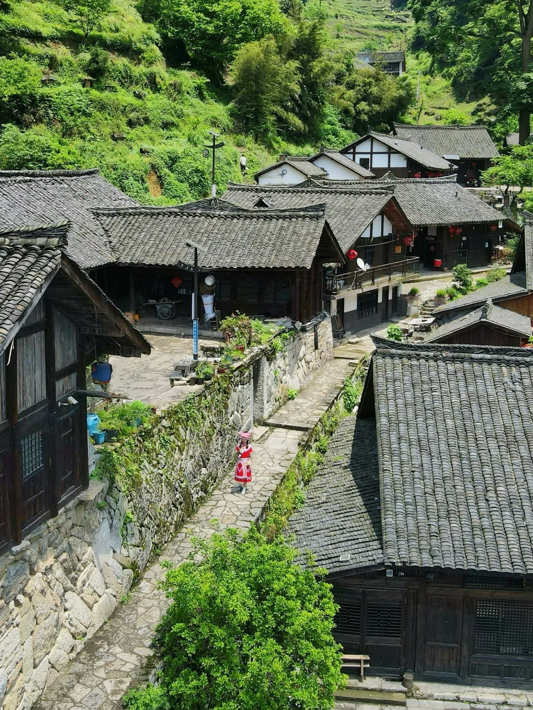 反向旅游!安利一个25 ℃冷门宝藏小城