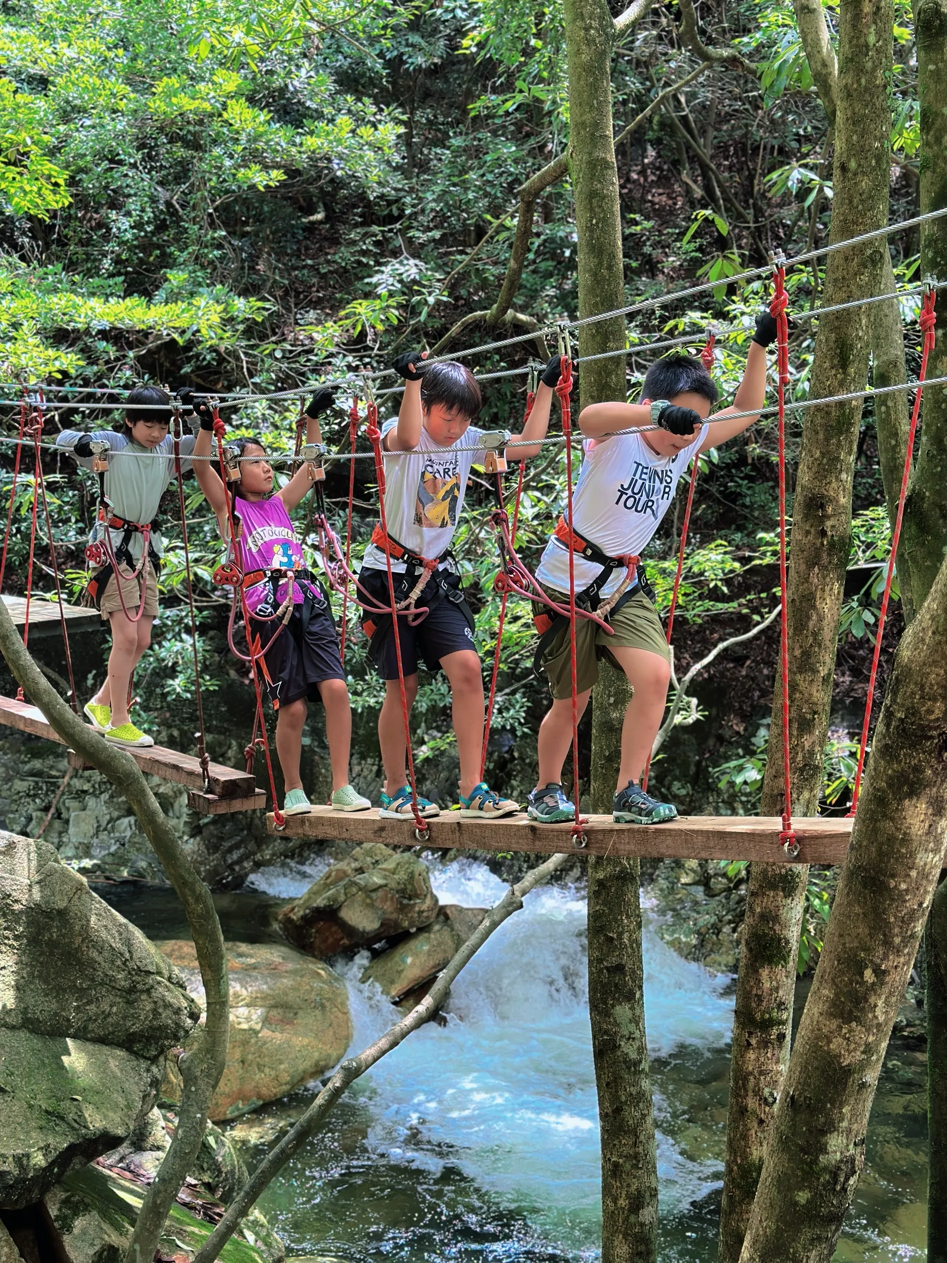 四天三晚💦带娃玩黄山森林溯溪，攻略直接抄