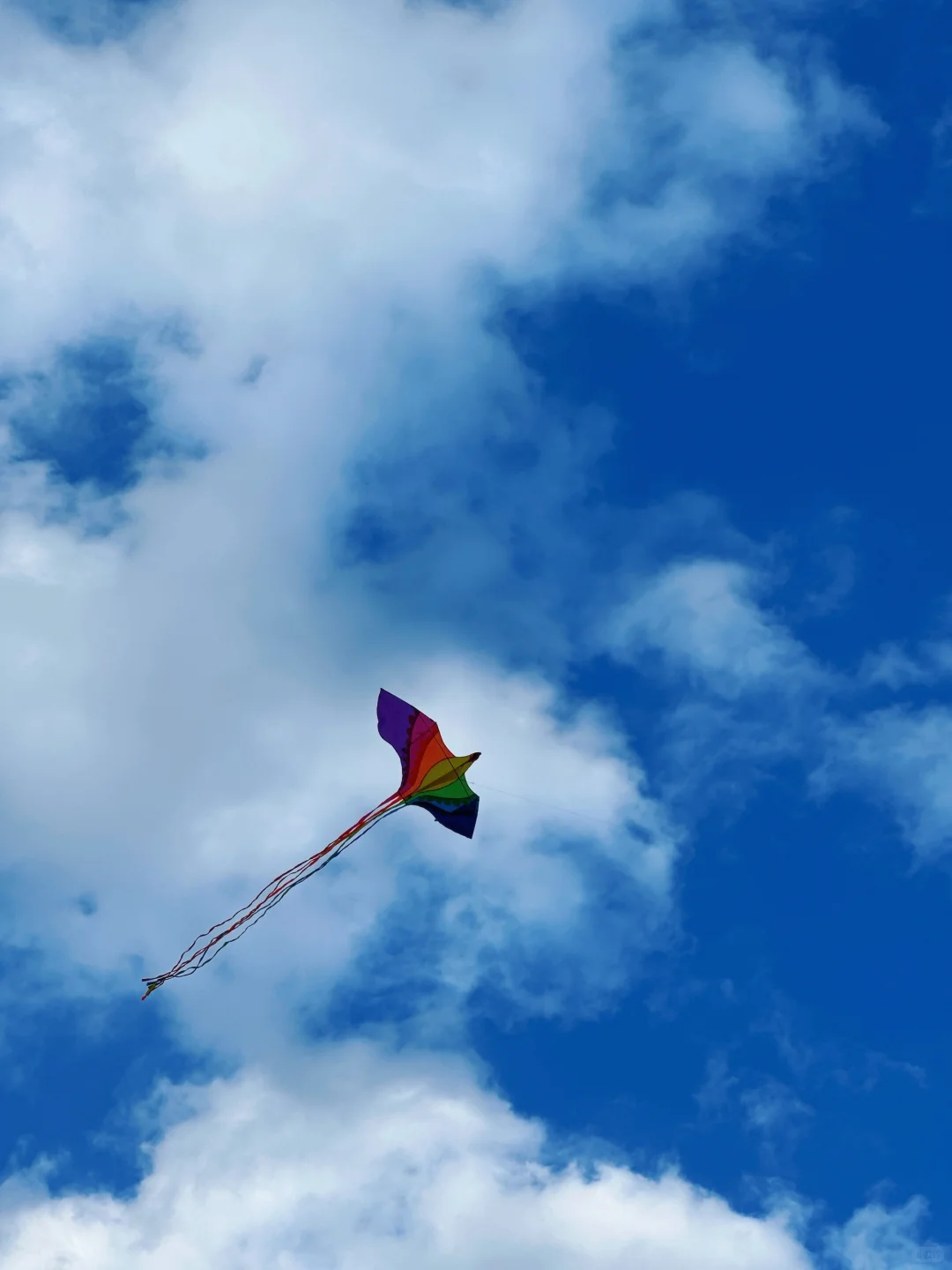 甘为牛马者｜藏着天地心【阿西里西】