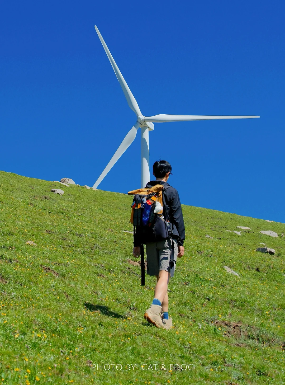 “读错过的举个手，这里是河北蔚（yù）县”