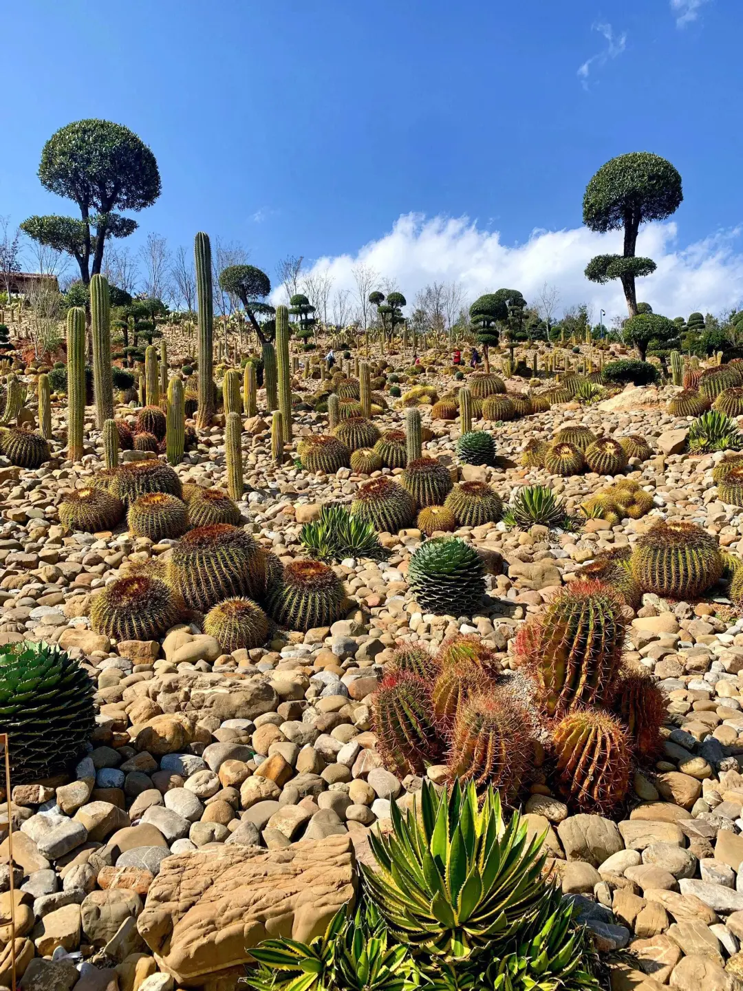 比起丽江大理，这才是夏季22°C最佳旅行地！