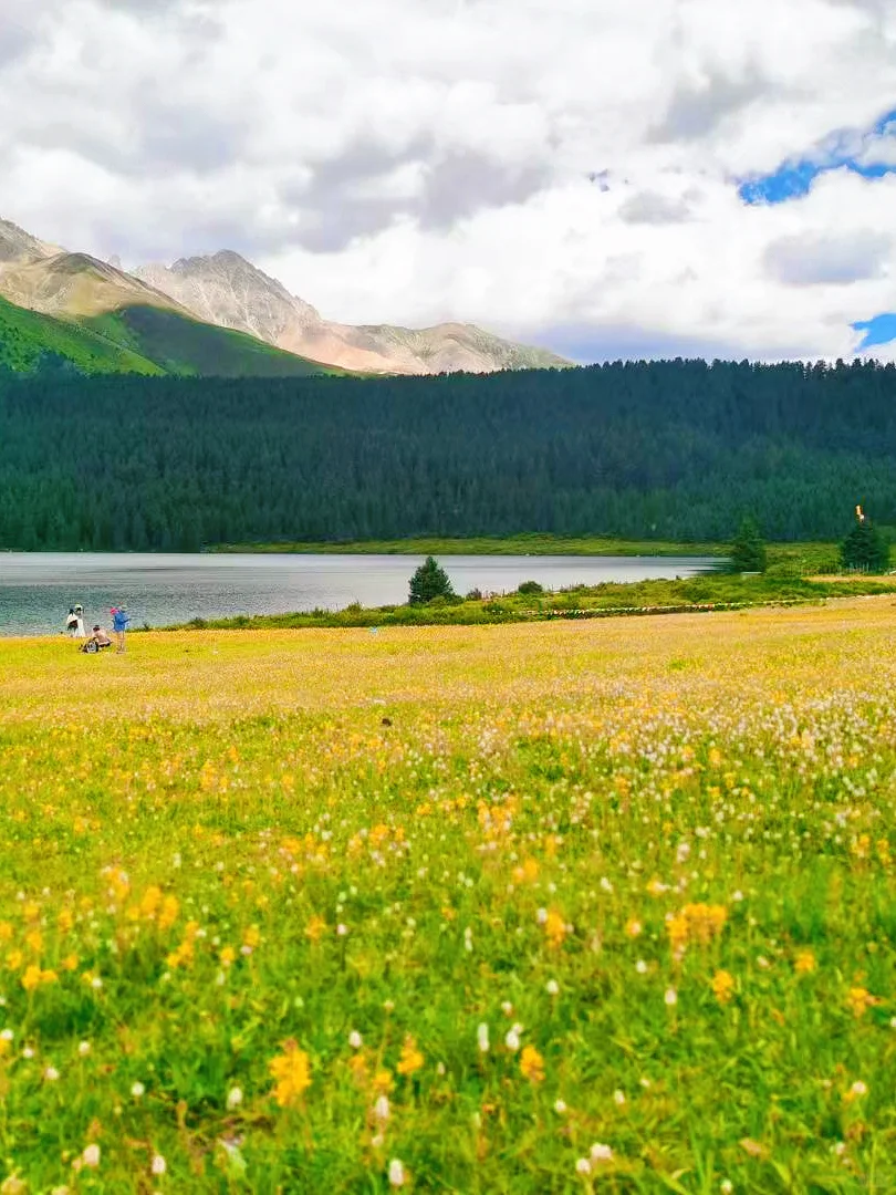 我宣布❗这是四川最美草原⛰️浪漫又治愈～