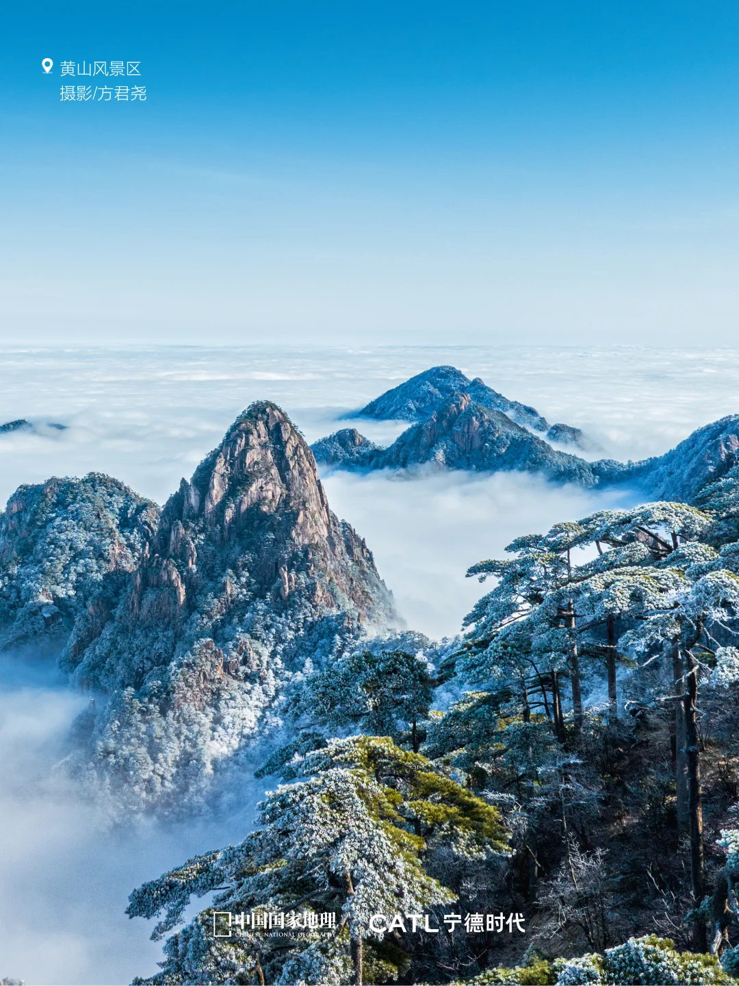 🌍“零碳出行”的N种打开方式✨