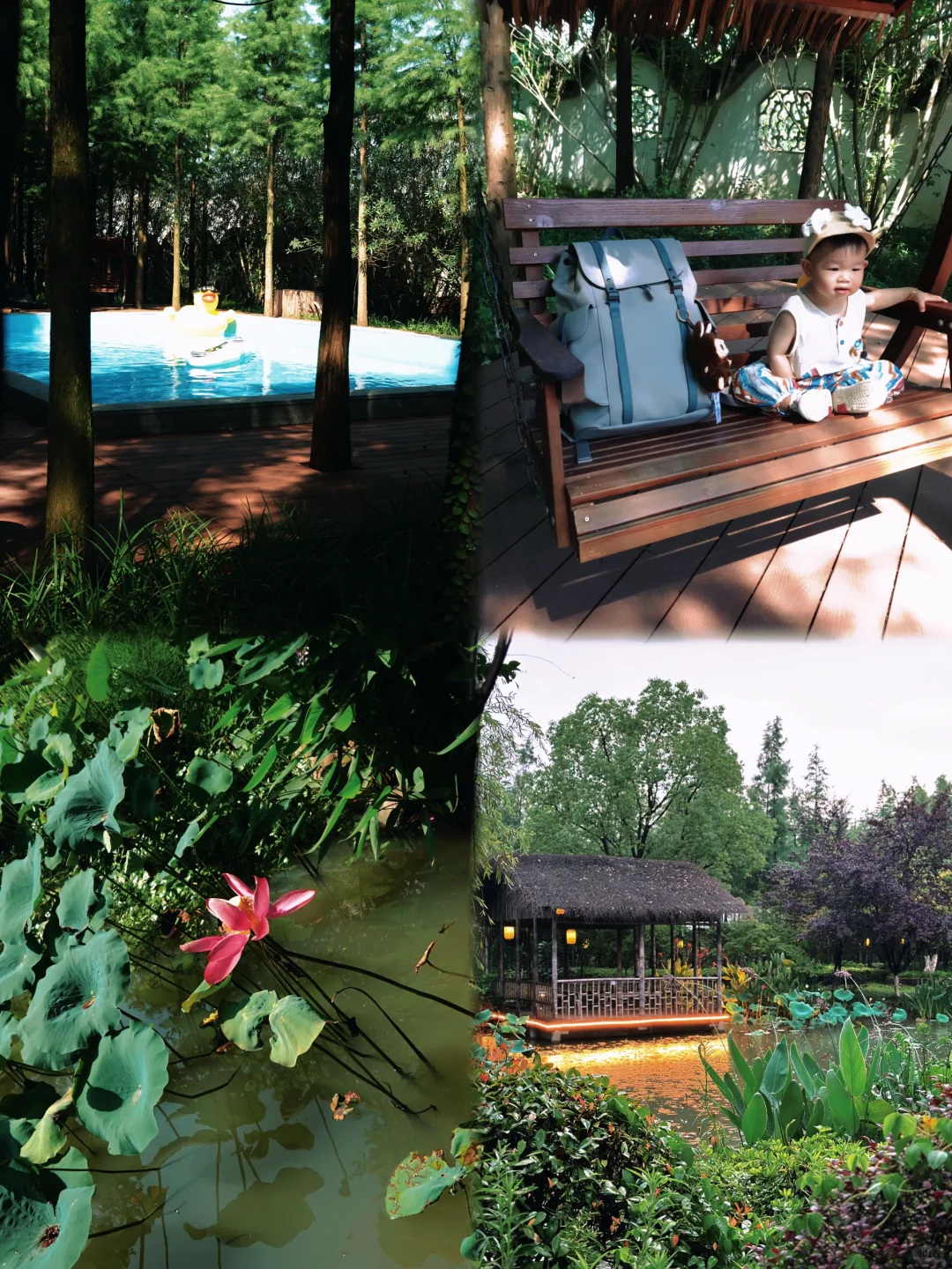 周五冲莫干山！三天两晚攻略，不踩雷💣