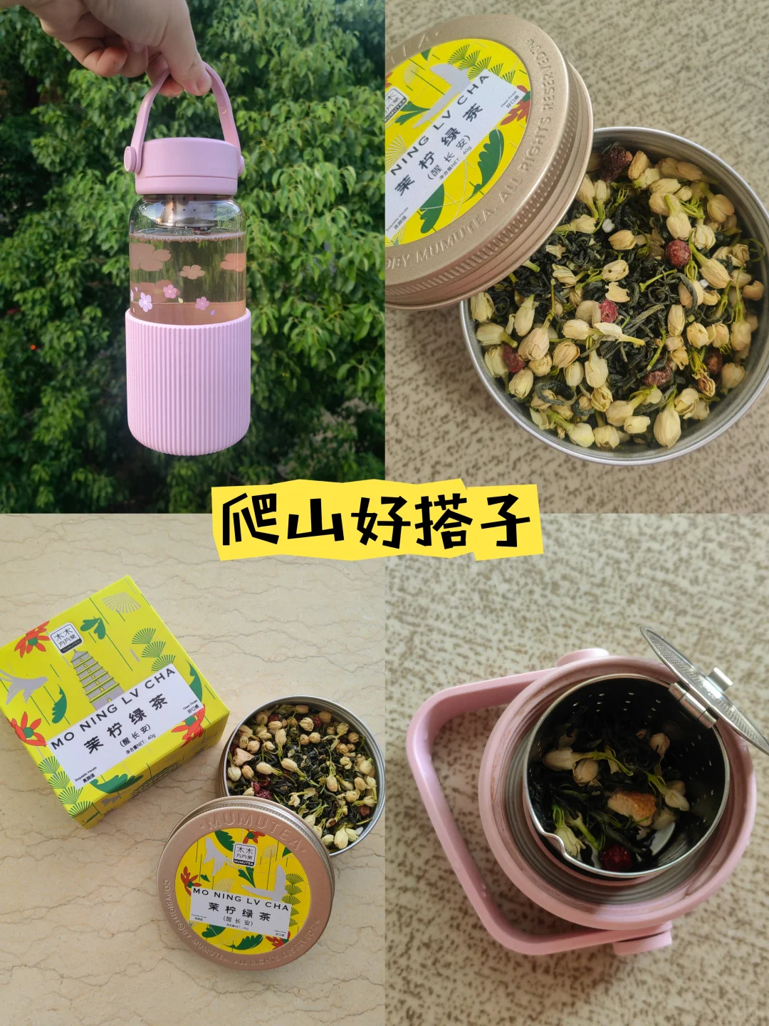 一次讲清楚！怎么免票玩剑门关+翠云廊！