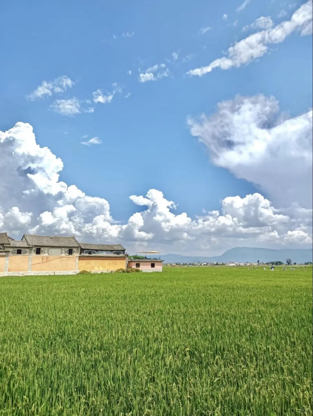 云南纯玩小团🌟吃住全含✅让旅行更省心❗