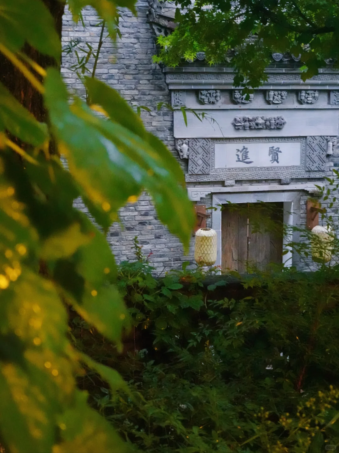 周五冲莫干山！三天两晚攻略，不踩雷💣