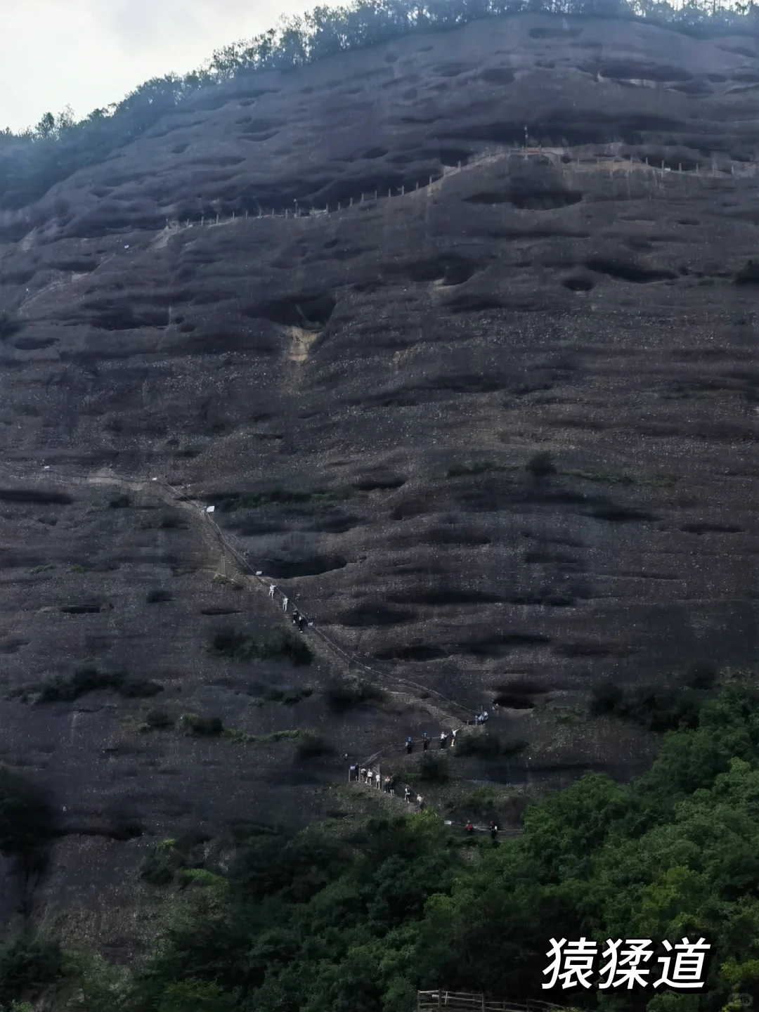 一次讲清楚！怎么免票玩剑门关+翠云廊！