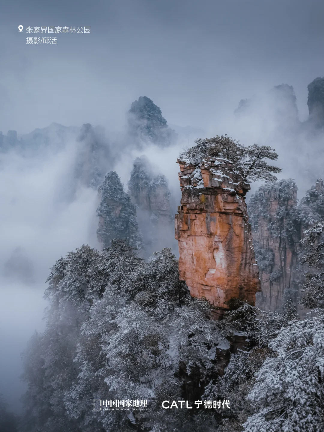 🌍“零碳出行”的N种打开方式✨