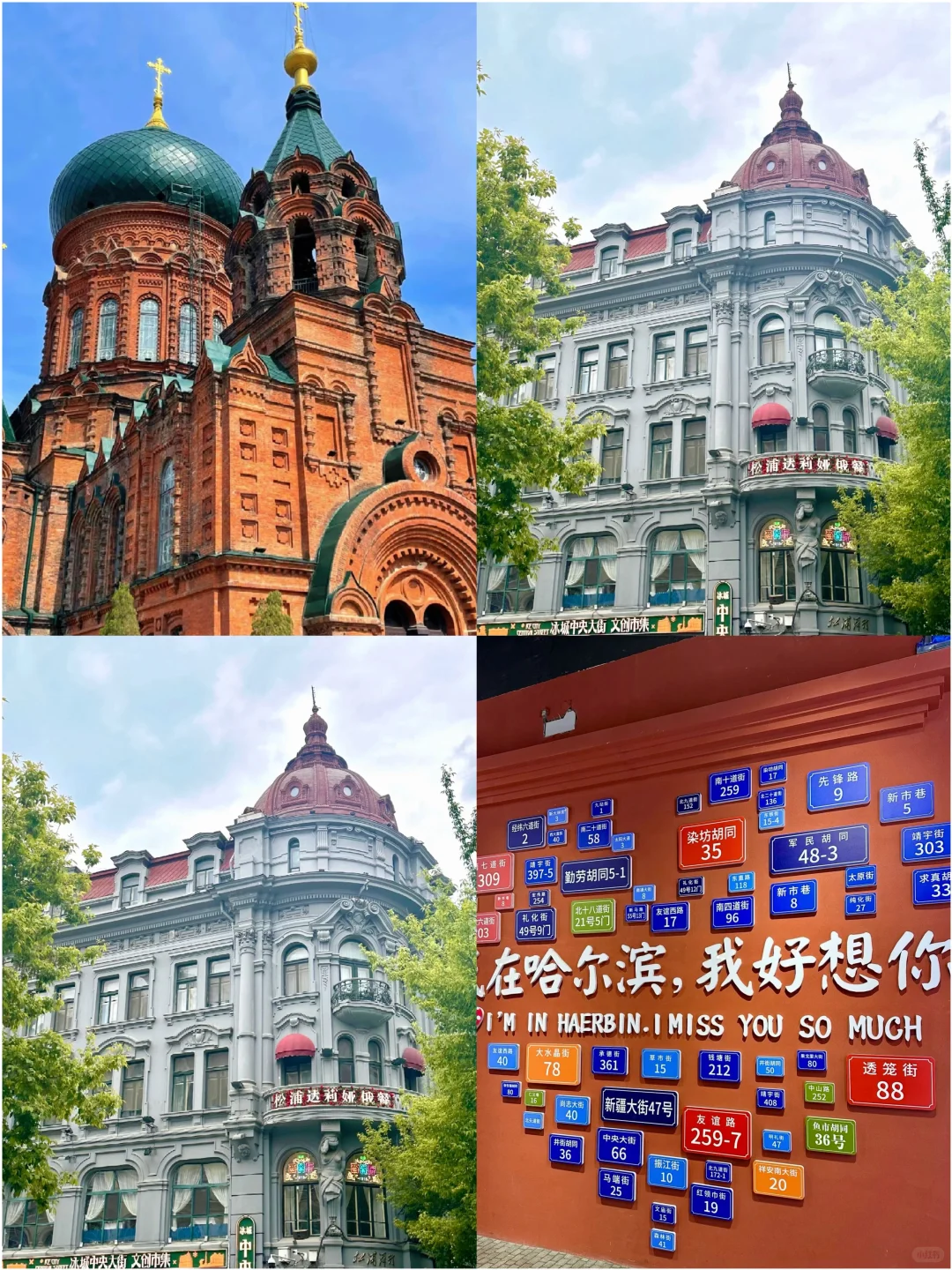 8月反向游！4个凉丝丝还省钱的城市攻略来啦