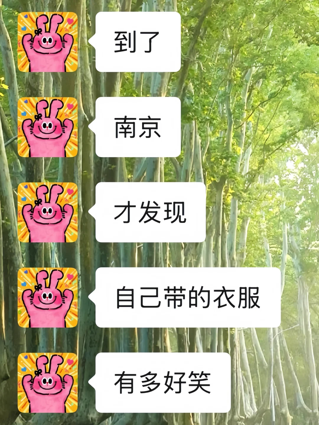 8-9月准备来南京的姐妹，千万要注意了⚠️