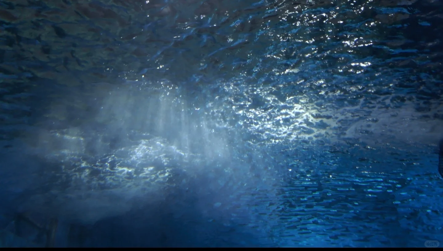 谁说南京夏天没有好景点遛娃啊！海底世界！
