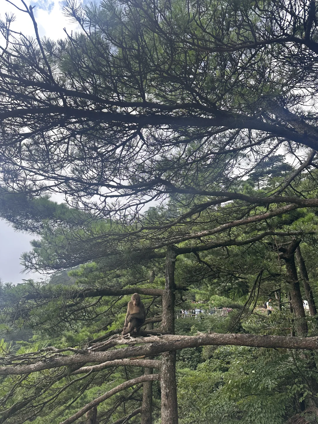 黄山爬了，坑还挺多