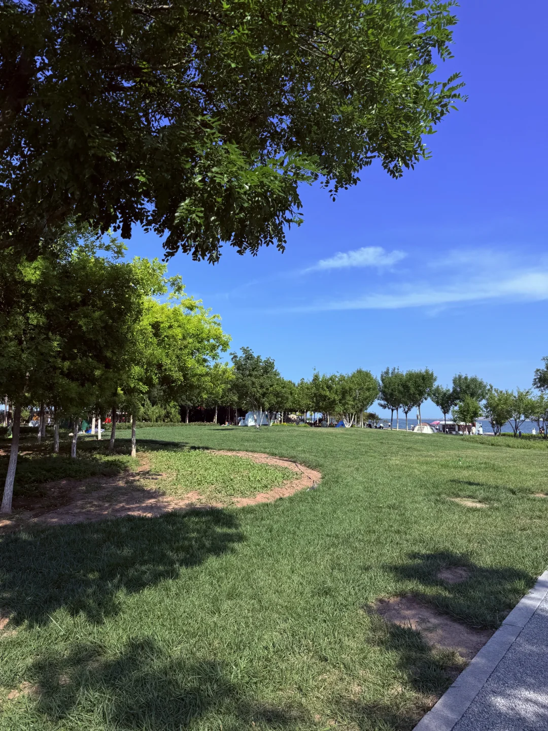 7.6实拍！天津这海很干净‼️免费人少还出片📷