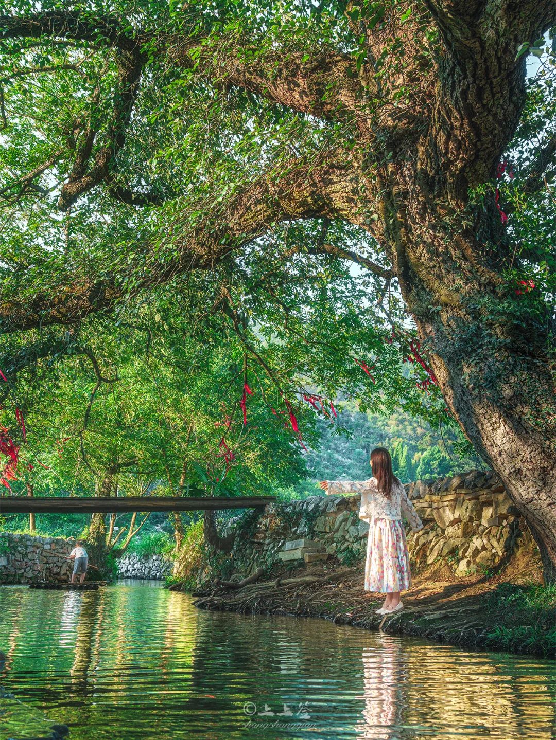 比起武汉，我更爱这座避暑清凉的山水小城⛰️