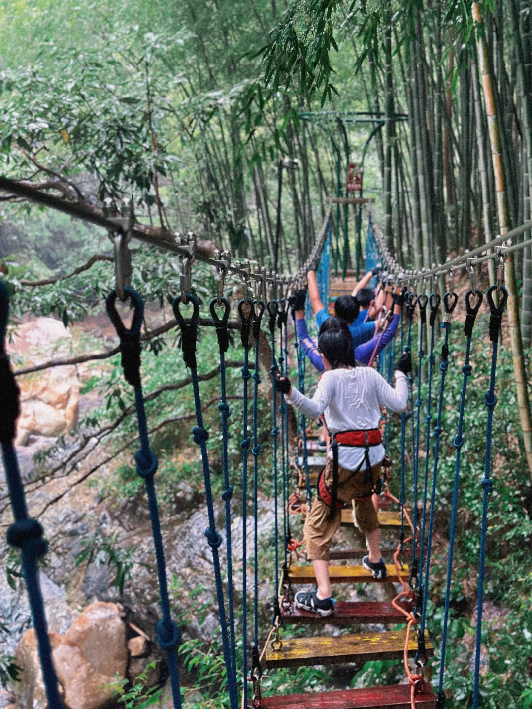 四天三晚💦带娃玩黄山森林溯溪，攻略直接抄