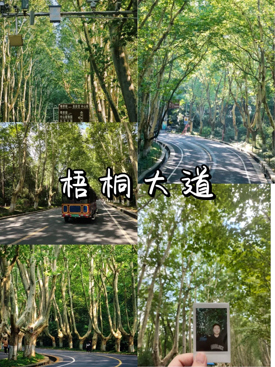 超详细南京游玩攻略（人均500💰）直接抄！！！