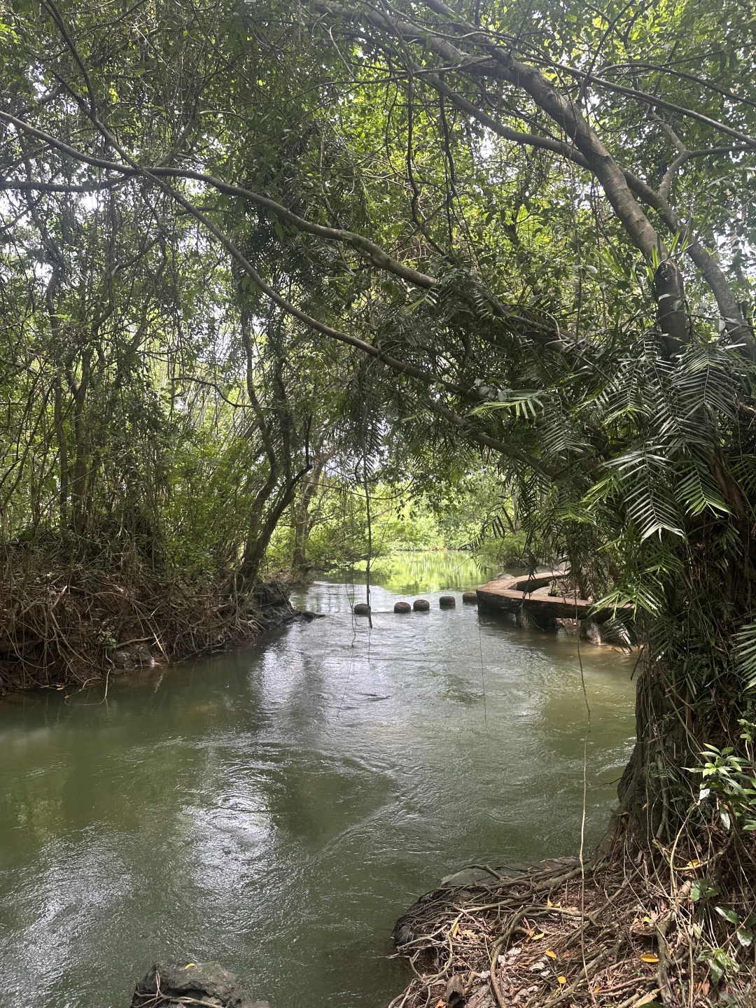 在三亚和崇左间选了崇左，娃玩的不想回家😭