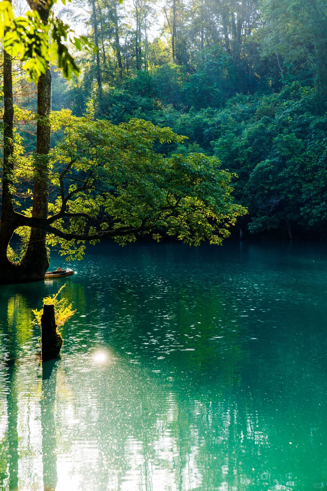荔波小七孔｜人间的绿宝石（附拍摄机位路线）