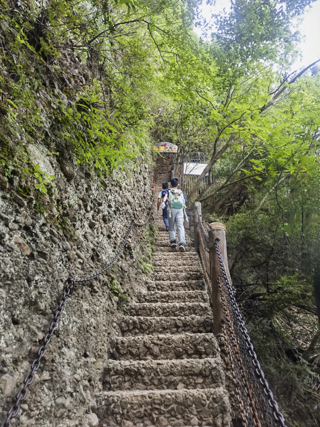 一次讲清楚！怎么免票玩剑门关+翠云廊！