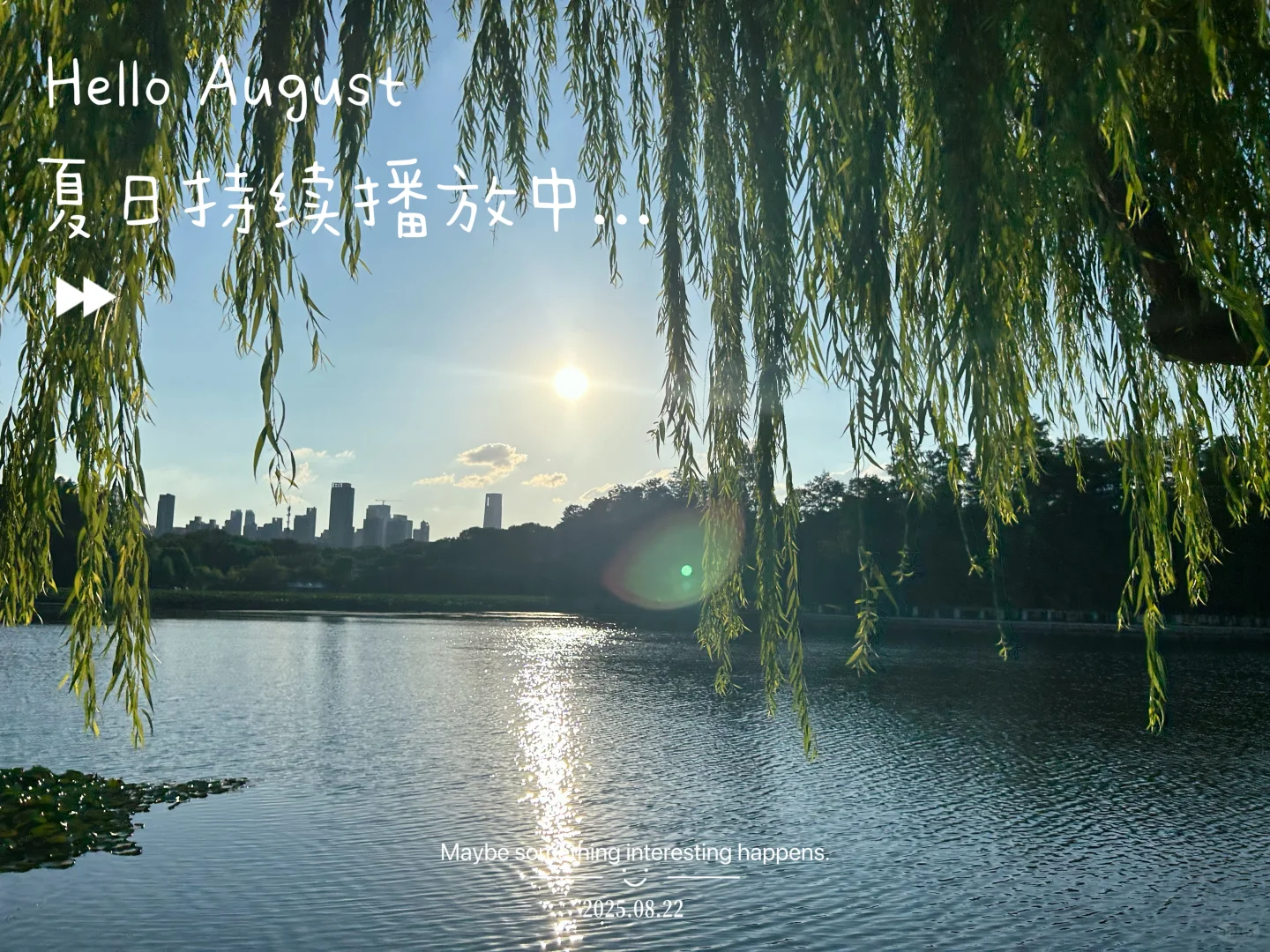 🌿闯入东湖听涛｜慢行日记