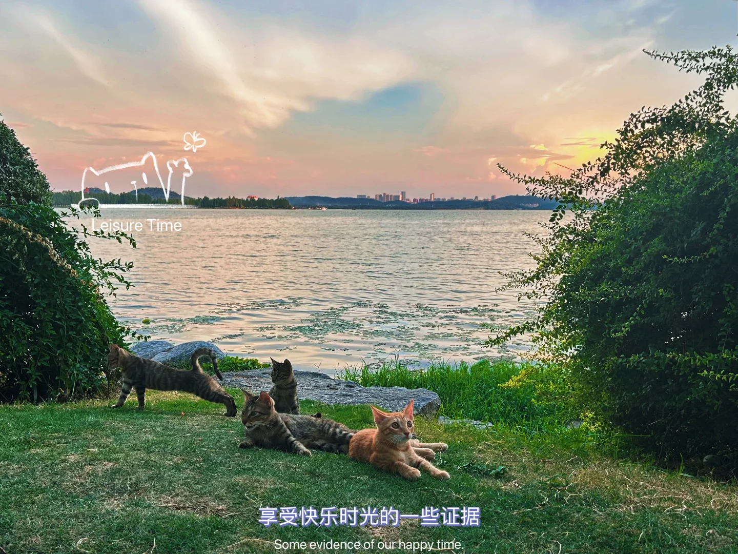 🌿闯入东湖听涛|慢行日记