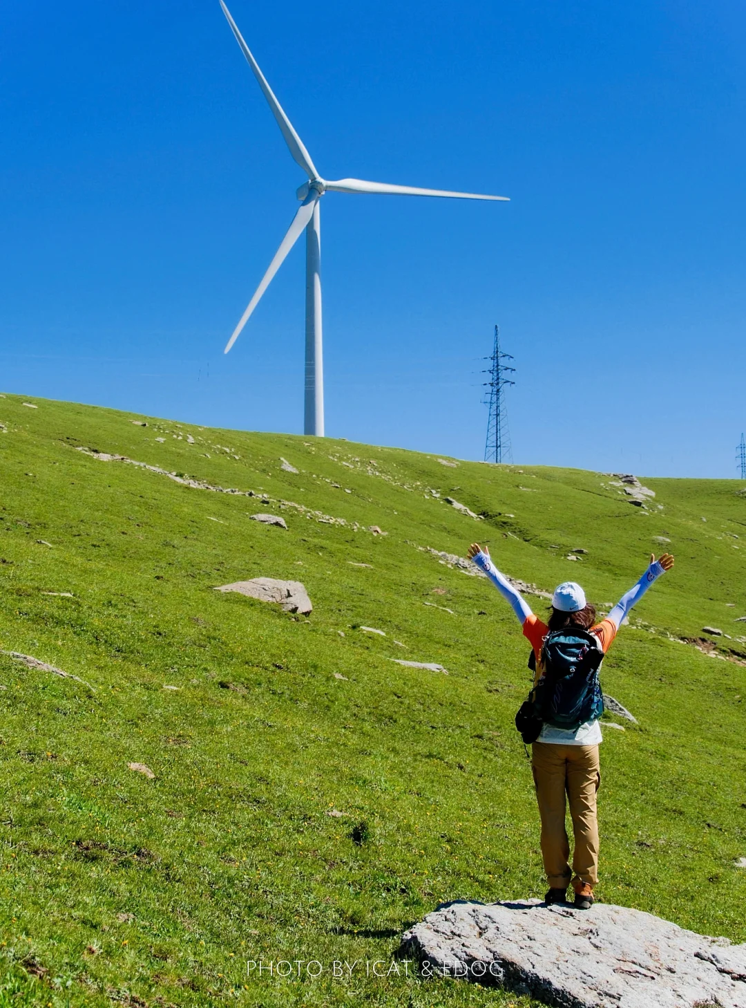 “读错过的举个手，这里是河北蔚（yù）县”