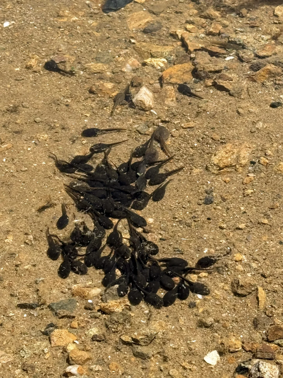 张家口小众自驾路线🚗 我找到了翡翠湖🩵💚