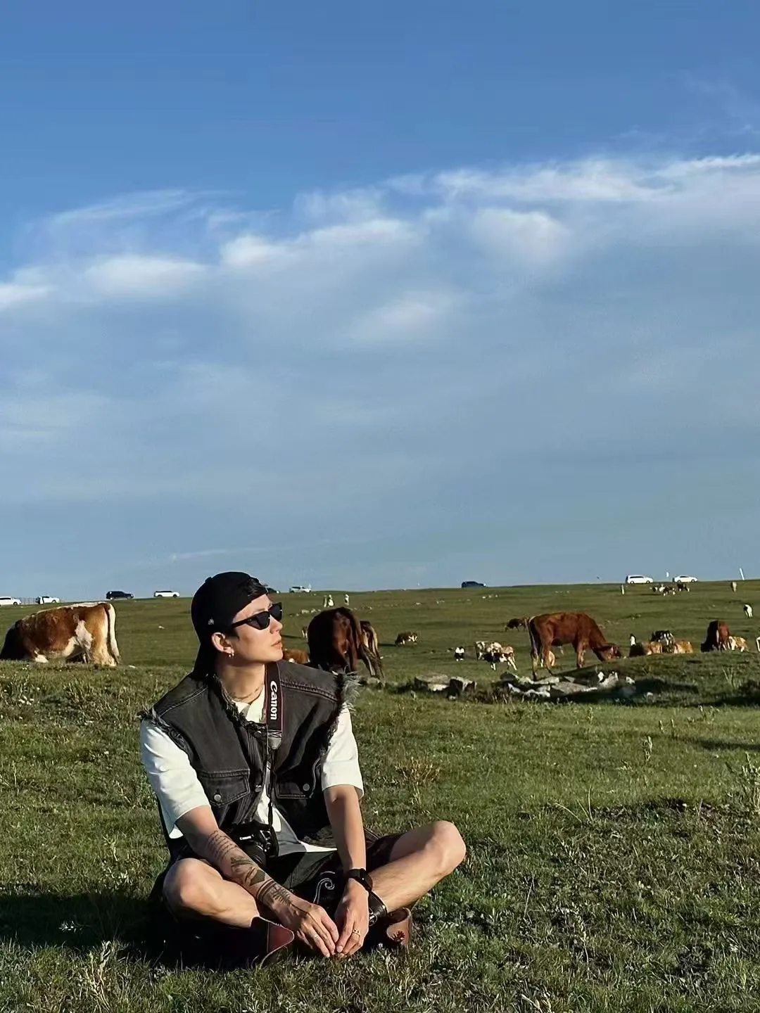 红石崖↔️市区 每日往返 随走随停🚗