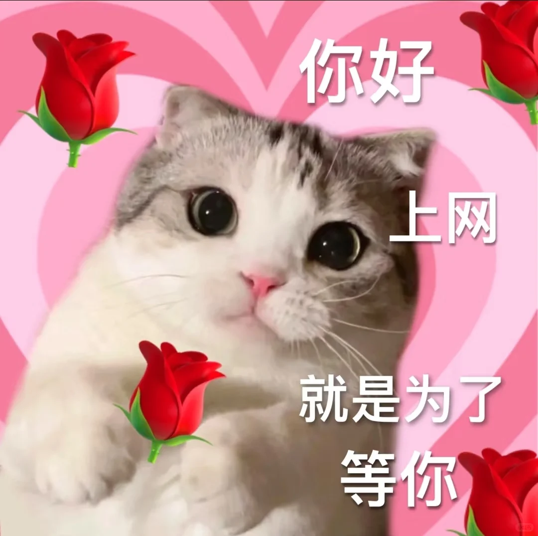 求！广西旅游攻略