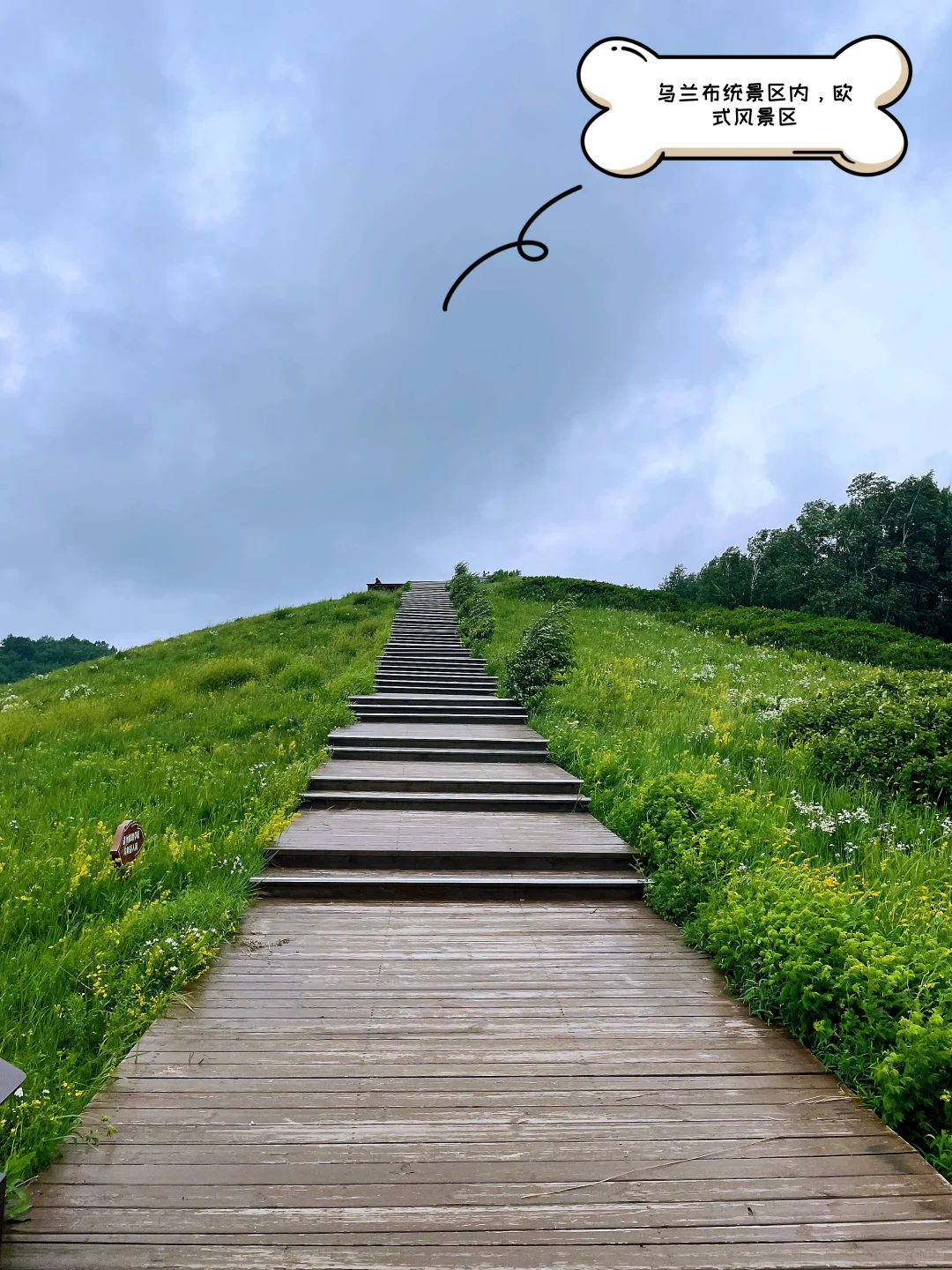 一家三口自驾乌兰布统旅游攻略与避坑合集！