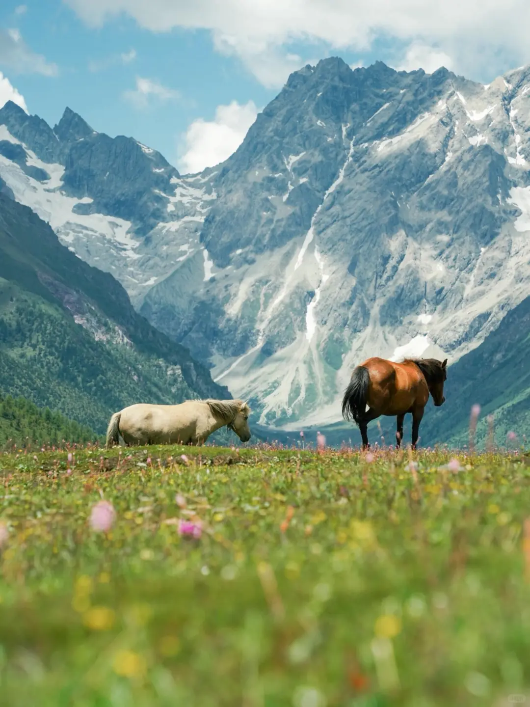 云南纯玩小团🌟吃住全含✅让旅行更省心❗