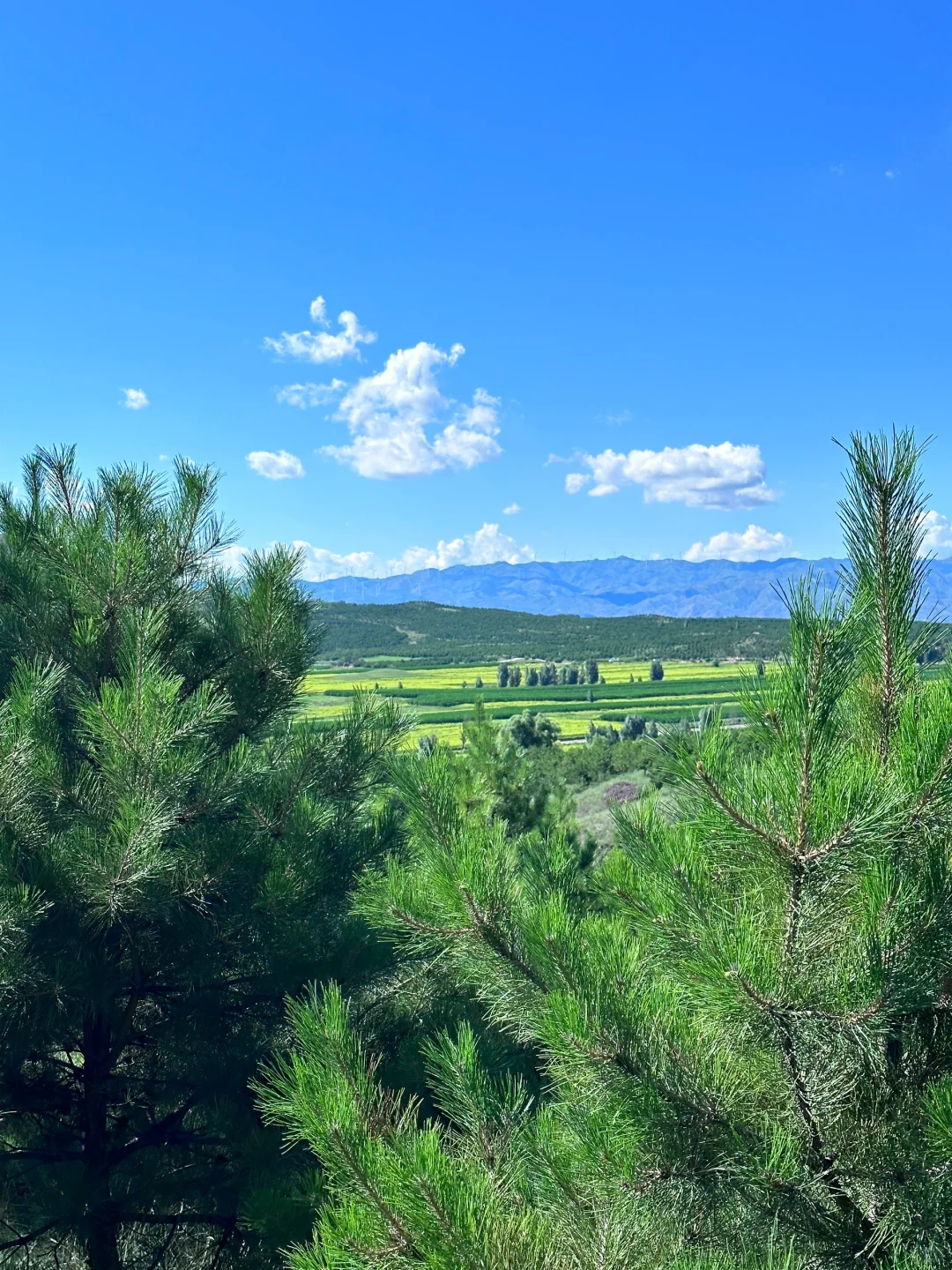 大同小众景点推荐，人少人少