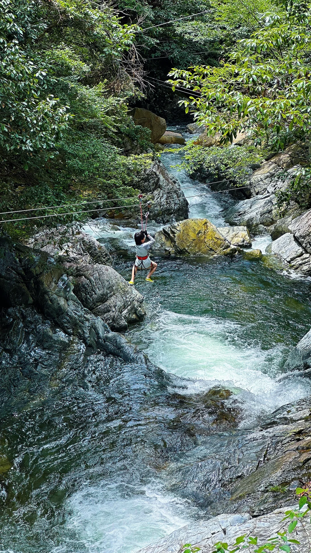 四天三晚💦带娃玩黄山森林溯溪，攻略直接抄