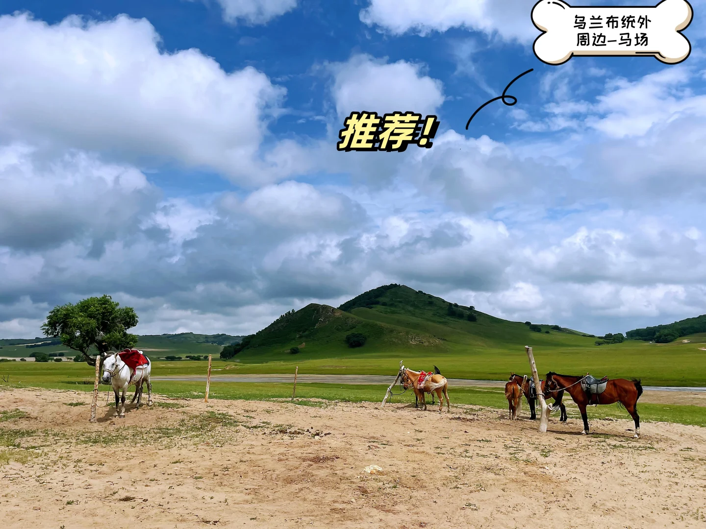 一家三口自驾乌兰布统旅游攻略与避坑合集！