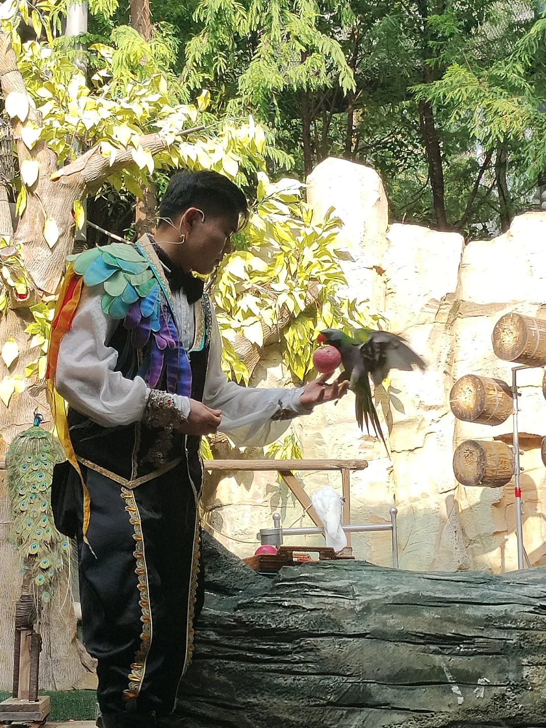 🎭体验派必冲！深度玩转千古情