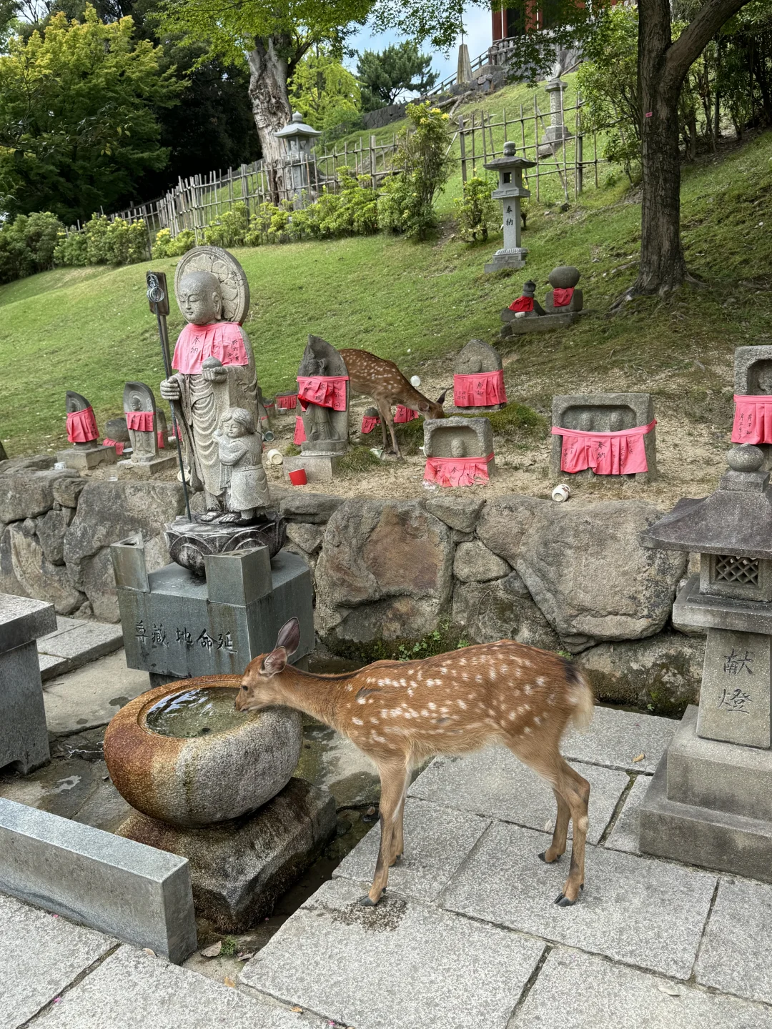 日本关西7天旅游攻略